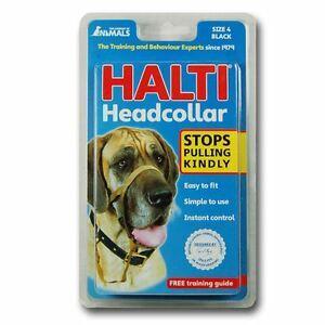 Halti Headcollar Size 4 Coats/Clothing Company of Animals 