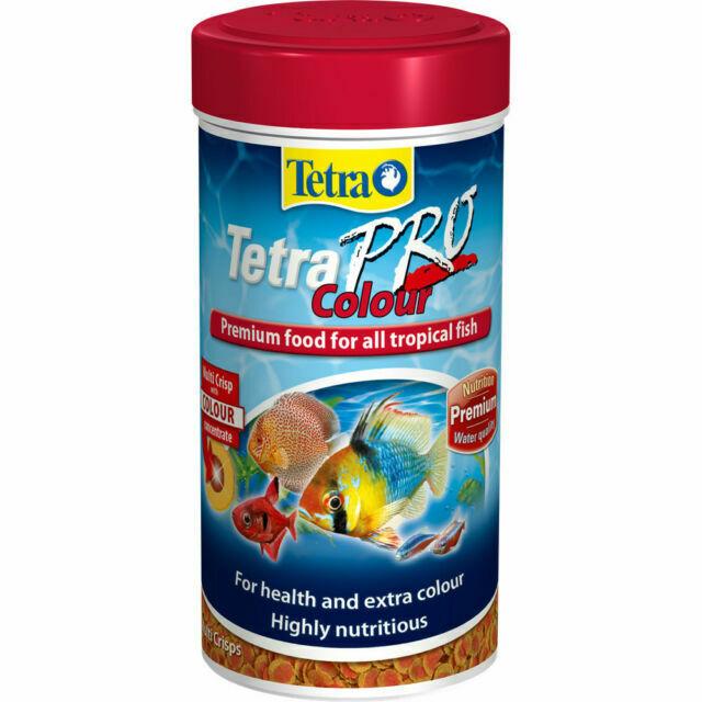 Tetra Pro Colour 20g Fish Foods Tetra 