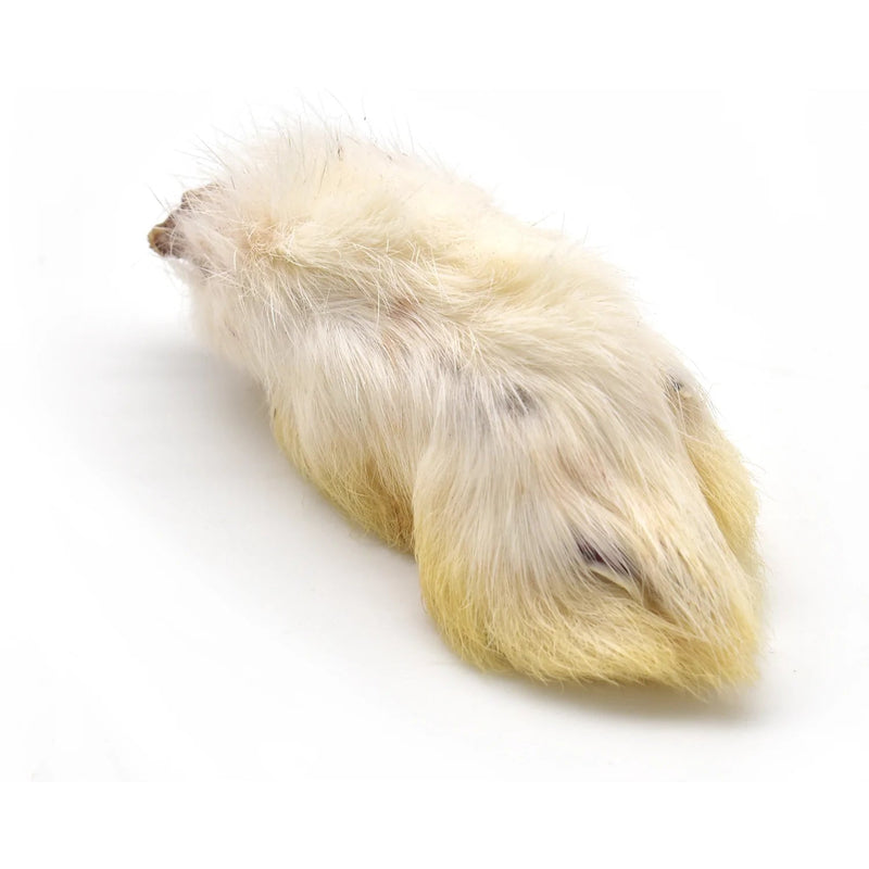 Hairy Rabbit Foot Single Bradlands Pet Supplies 