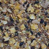 Gablestock Chicken Treat 20kg Poultry Gablestock 