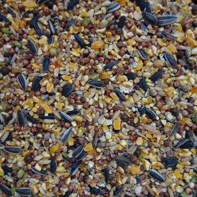 Gablestock Poultry Conditioner 20kg Poultry Gablestock 