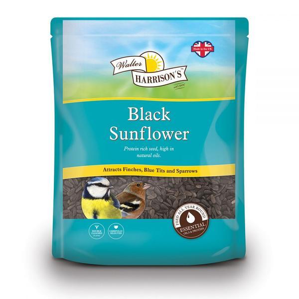 Harrison Black Sunflower Seed 1.6kg Outdoor Food Harrisons 