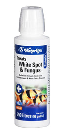 Waterlife Anti White Spot & Fungus 100ml Treatments Waterlife 